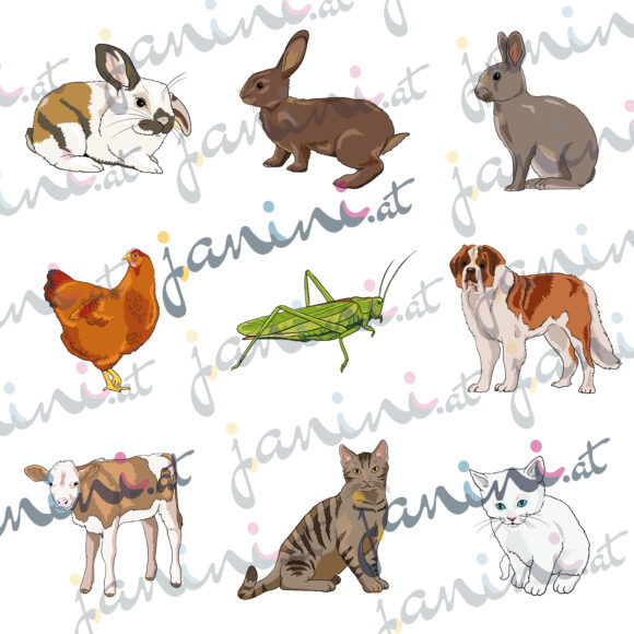 Übersicht Bauernhoftiere Clipart Hasen, Henne, Heuschrecke, Hund, Kalb und Katzen