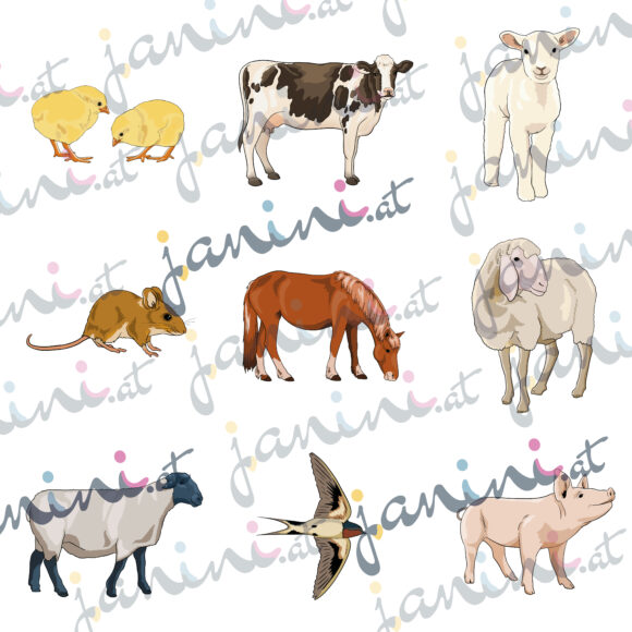 Übersicht Bauernhoftiere Clipart Küken, Kuh, Lamm, Maus, Pferd, Schafe, Schwalbe und Schwein