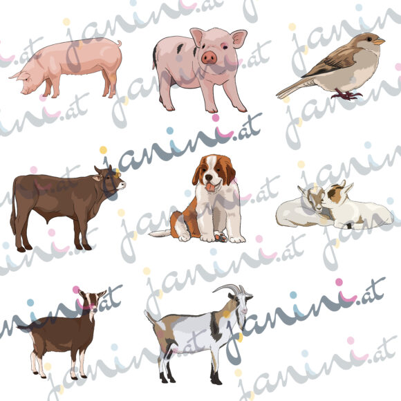 Übersicht Bauernhoftiere Clipart Schweine, Spatz, Stier, Welpe, Zicklein und Ziegen